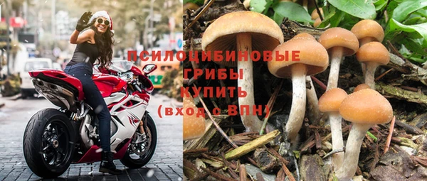 mdpv Баксан